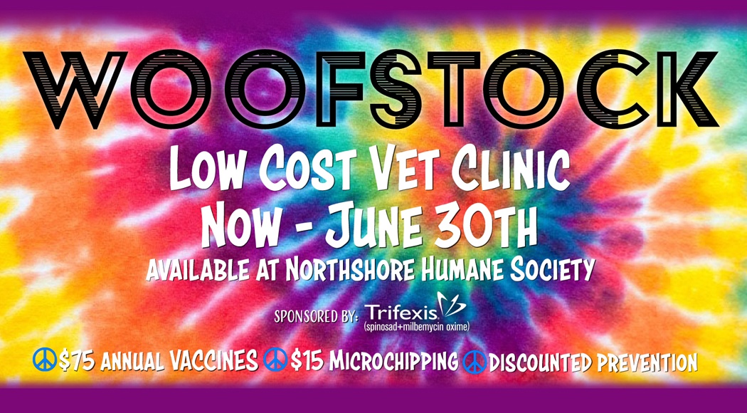Woofstock Low Cost Vet Clinic